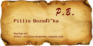 Pillis Bozsóka névjegykártya